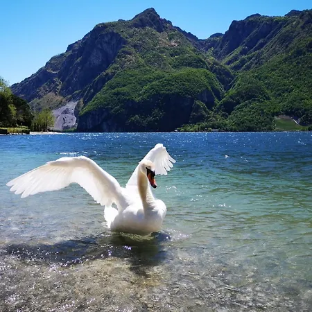 Hébergement de vacances A Due Passi Dal *